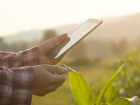 Assessoria Jurídica para Agrotechs