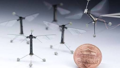 Drone inspirado em insetos é o mais leve do mundo a voar