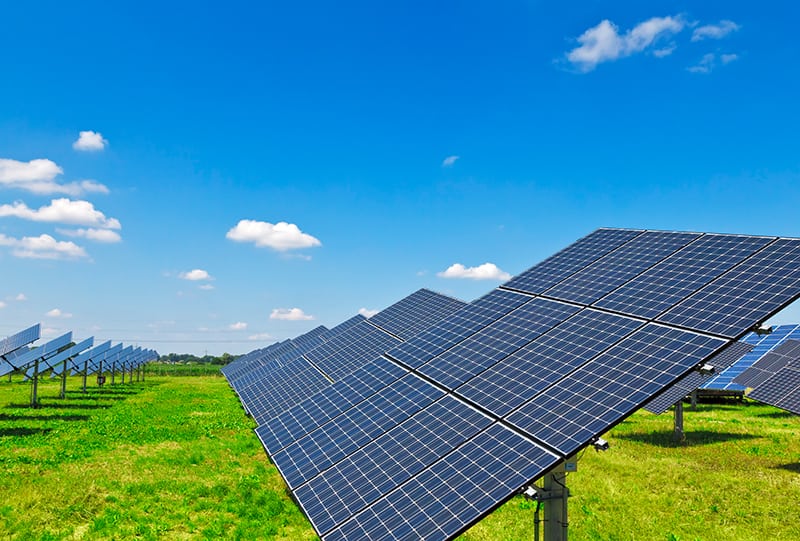 Amazon fecha parceria com elétrica EDP para parque solar no Brasil